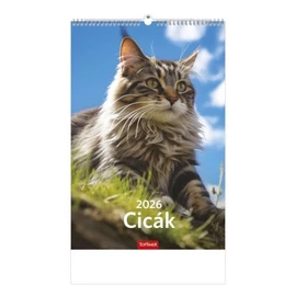 *22910 FALINAPTÁR 2026 Cicák T094-11 spirálozott 22*33cm