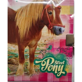 EMLÉKKÖNYV A5 Zátonyi lakatos általános