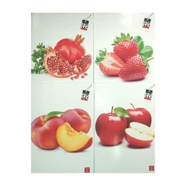 *29824 FÜZET A4 PIGNA kockás 42lap Fruits