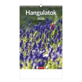 *30365 FALINAPTÁR 2026 Hangulatok T094-12 spirálozott 22*33cm