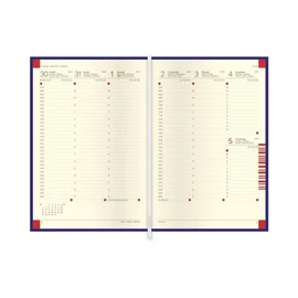 *30478 HATÁRIDŐNAPLÓ 2025 B5 heti TOPTIMER 