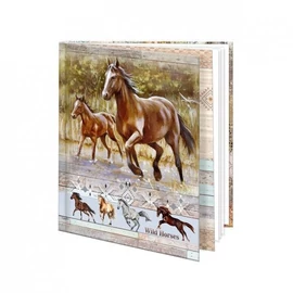 *31184 EMLÉKKÖNYV-NAPLÓ B6 ARGUS 1431-..12,5*14,5cm