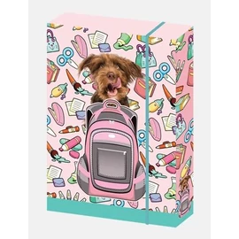 *32579 FÜZETBOX A5 CONCARD