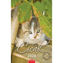 *33212 FALINAPTÁR 2026 Cicák CSG spirálozott FN089  21*32cm