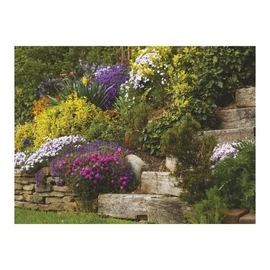 *33523 FALINAPTÁR 2026 Csodálatos kertek T093-25  42*31cm
