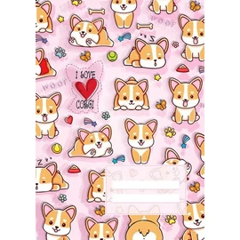 *35250 FÜZET A5 CONCARD mintás 32l = # fóliázott boritóval