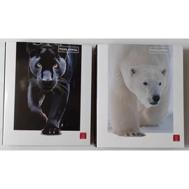 *35390 GYŰRŰSKÖNYV A4 PIGNA 4R Amimal 40mm