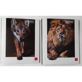 *35390 GYŰRŰSKÖNYV A4 PIGNA 4R Amimal 40mm