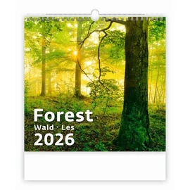 *36021 FALINAPTÁR 2026 Forest GOS spirálozott  H166  30*30cm