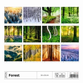 *36021 FALINAPTÁR 2026 Forest GOS spirálozott  H166  30*30cm