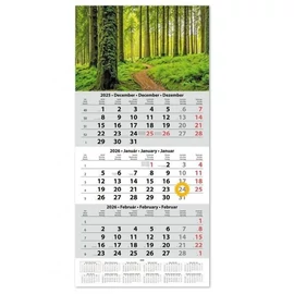 *36482 FALINAPTÁR SPEDÍTŐR 2026 Dayliner SP1 egytömbös, 3 hónapos képes