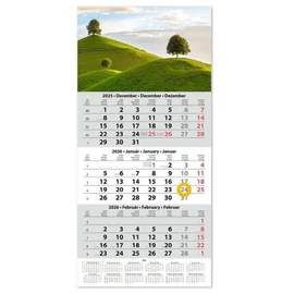 *36482 FALINAPTÁR SPEDÍTŐR 2026 Dayliner SP1 egytömbös, 3 hónapos képes