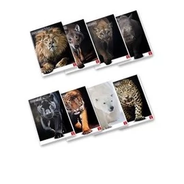 *38498 FÜZET A4 PIGNA kockás 42lap Animal