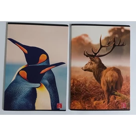 *38498 FÜZET A4 PIGNA kockás 42lap Animal