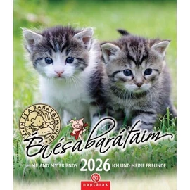 *38722 FALINAPTÁR 2026 Én és a barátaim CSG spirálozott FN U05 19*22cm