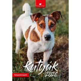 *38813 FALINAPTÁR 2026 Kutyák Dayliner spirálozott  FA-KU-B4  23*33cm