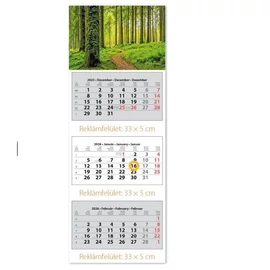 *39509 FALINAPTÁR SPEDITŐR 2026 3 tömbös 3 havi DAYLINER 33*88cm képes