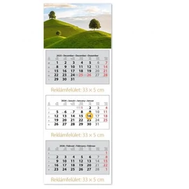 *39509 FALINAPTÁR SPEDITŐR 2026 3 tömbös 3 havi DAYLINER 33*88cm képes