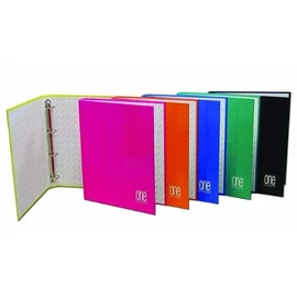 *40791 GYÜRÜSKÖNYV A5 BLASETTI 4R One Color 2401