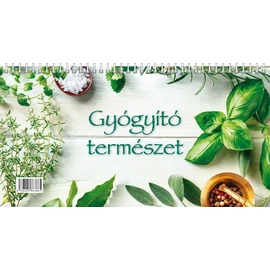 *41335 NAPTÁR asztali KÉPES 2026 Gyógyító természet SG 28*15cm