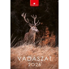 *41670 FALINAPTÁR 2026 Vadászat Dayliner spirálozott FA-VA-B4 22*33cm