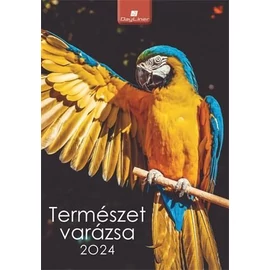 FALINAPTÁR 2025 Természet varázsa Dayliner spirálos 23*33cm