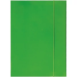 GUMIS DOSSZIÉ B4 Optima Fluo lakk egyszínű 600gr (zöld, 02.0036125)