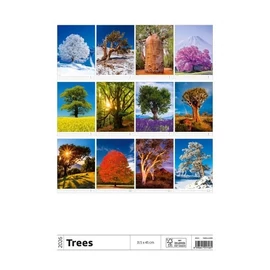 *44153 FALINAPTÁR 2026 Fák-Trees GOS H125   31,5*45cm