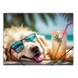 *45638-001 DOSSZIÉ gumis A4 PP Panta Plast 15mm vegyes minta (Chillout Dog, INP410006453)