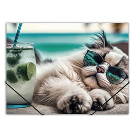 DOSSZIÉ gumis A4 PP Panta Plast 15mm vegyes minta (Chillout Cat, INP410006454)
