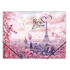 *45638-005 DOSSZIÉ gumis A4 PP Panta Plast 15mm vegyes minta (Take me to Paris, INP0410006456)