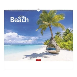 *46175 FALINAPTÁR 2026  Beach T093-24  42*31cm