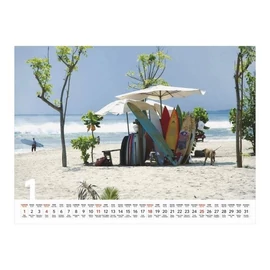 *46175 FALINAPTÁR 2026  Beach T093-24  42*31cm