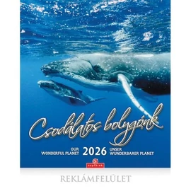 *46190 FALINAPTÁR 2026 Csodálatos bolygónk CSG FN U10CS  30*34cm