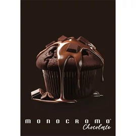 *47258 FÜZET A4 PIGNA vonalas 38lap Monocromo Chocolate