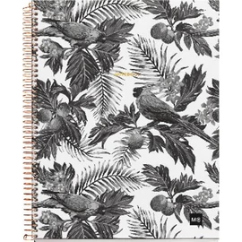 *49531 FÜZET spirál A4 MQ ECOMAPS = karton 80lap 6108