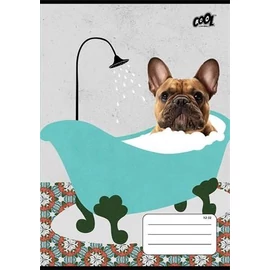 *49603 FÜZET A5  COOL by Victoria 2o.  