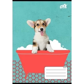 *49603 FÜZET A5  COOL by Victoria 2o.  