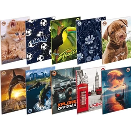 *49976 FÜZET A5 T-CREA 60lapos vonalas   21-60 mintás