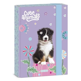 *50185-002 FÜZETBOX A5 ARS UNA vegyes minta (Cute Animals-Aussie, 15.20130)