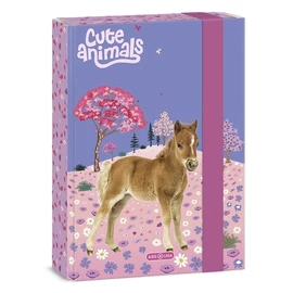 *50185-003 FÜZETBOX A5 ARS UNA vegyes minta (Cute Animals-Horse, 15.20131)