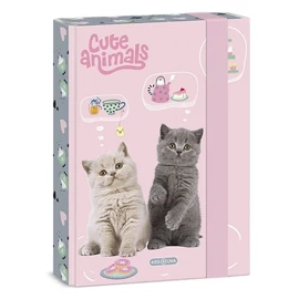 *50185-004 FÜZETBOX A5 ARS UNA vegyes minta (Cute Animals-Tea Party, 15.20132)