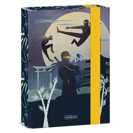 *50185-005 FÜZETBOX A5 ARS UNA vegyes minta (Ninja in the Dark, 15.18953)
