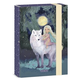 *50185-006 FÜZETBOX A5 ARS UNA vegyes minta (Northern Lights, 15.20144)