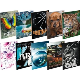 *50362 FÜZET A4 T-CREA  vonalas 81-60 60lap vegyes mintás