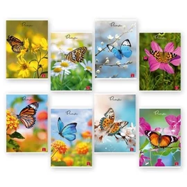 *50376 FÜZET A4 PIGNA kockás 50lap Butterflies