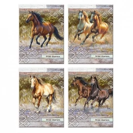 *50417 NOTESZ A6 ARGUS vegyes minta vonalas   1111-