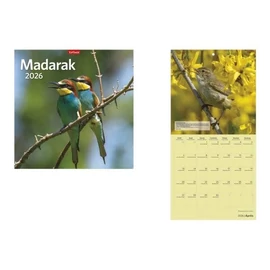 *50746 FALINAPTÁR 2026 Madarak TopTimer  T098-18 29*58cm