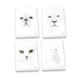 *52134 FÜZET A4 PIGNA kockás 38lap Monocromo White