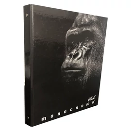 *52206 GYŰRŰSKÖNYV A4 PIGNA Monocromo Black  4ring 3cm gerinc